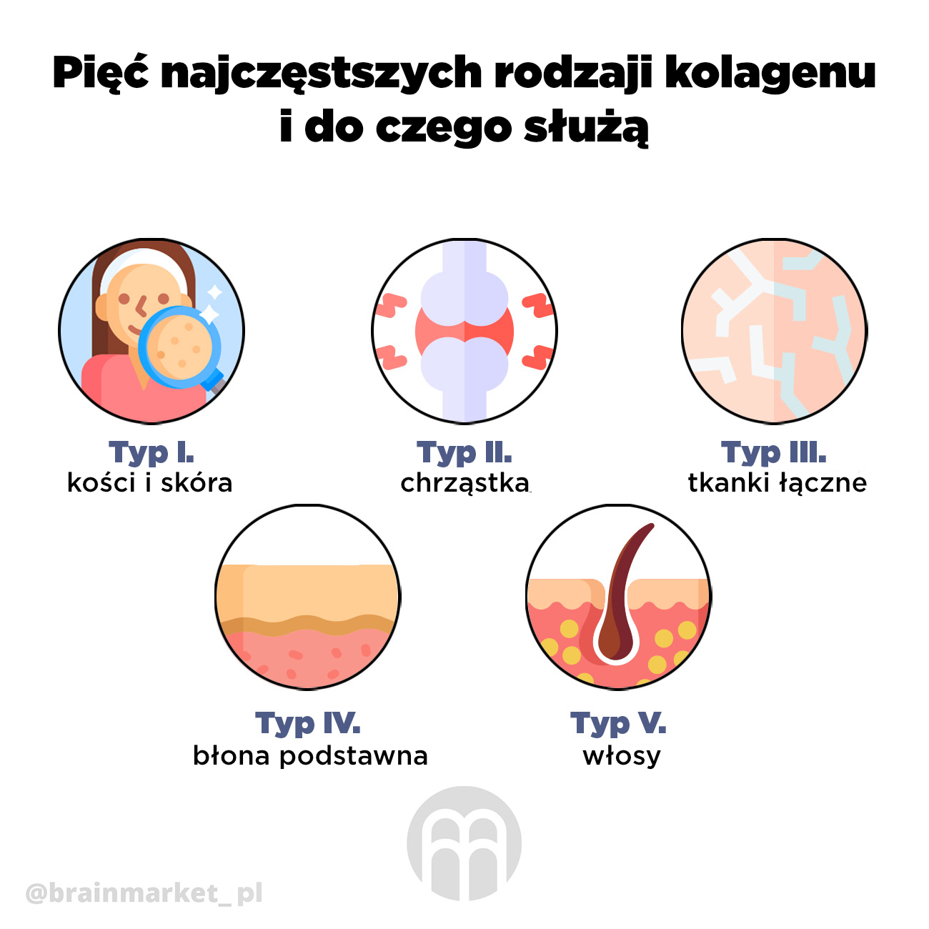 typy kolagenu_pl